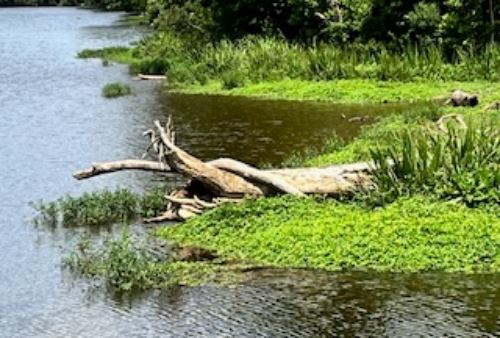 Customer Page Abstract 2